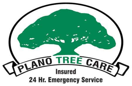 Plano Tree Care