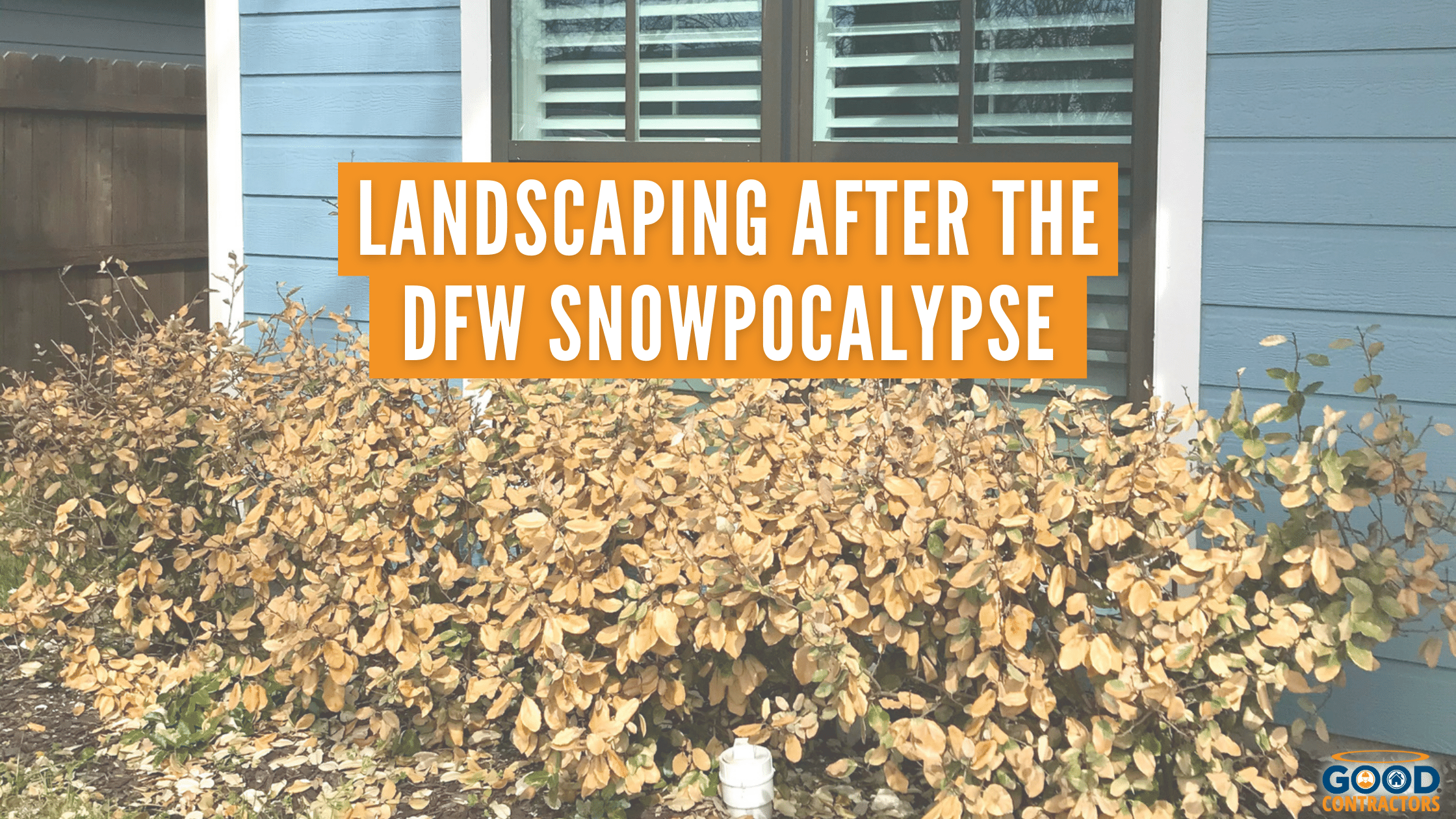 Landscaping After the Snowpocalypse