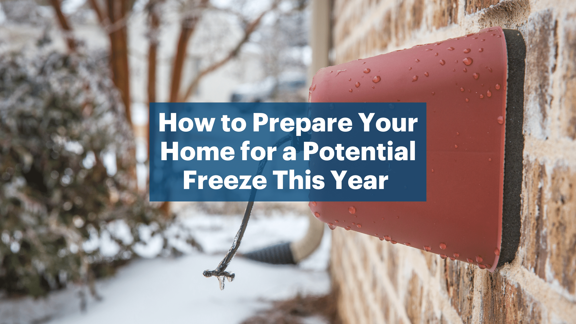 How to Prepare Your Home for a Potential Freeze This Year